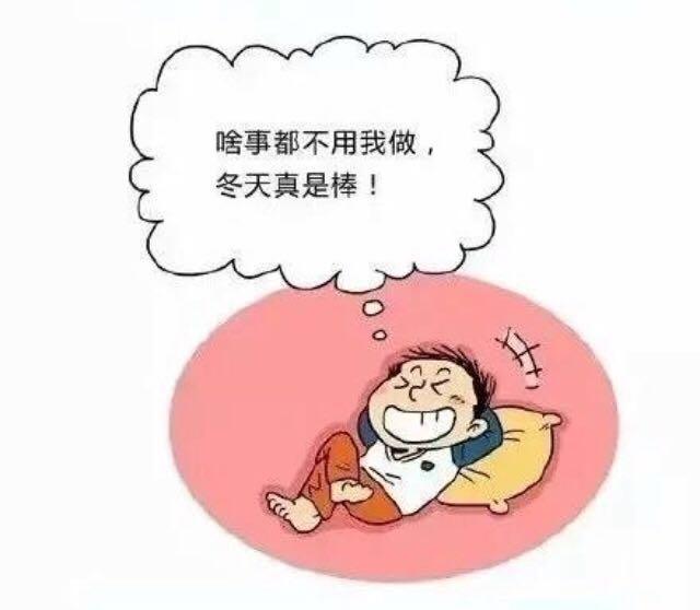 19.jpg 19.jpg